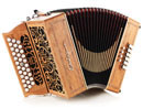 accordéon diatonique castagnari