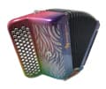 Accordéon en position de jeu (image catalogue)