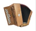 Accordéon en position jeu (image catalogue)