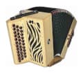 Accordéon en position jeu (image catalogue)