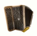 Accordéon en position de jeu (image catalogue)